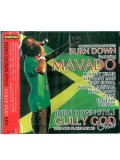 BURN DOWN /  -GULLY GOD MIX-