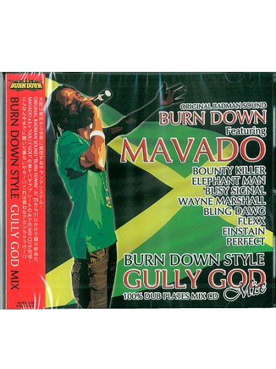 画像1: BURN DOWN /  -GULLY GOD MIX-