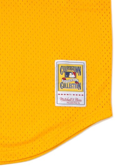 画像4: 【送料無料】MITCHELL & NESS AUTHENTIC MESH BP-T.GWYNN #19 SD PADRES