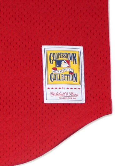 画像4: 【送料無料】MITCHELL & NESS AUTHENTIC MESH BP-JOHNNY BENCH #5 REDS