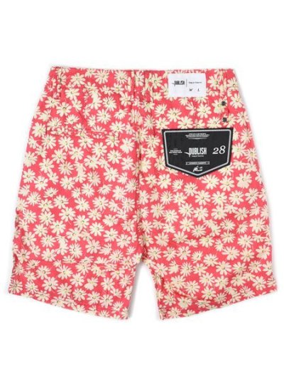 画像2: 【MEGA SALE】PUBLISH JAMED SHORTS