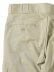 画像5: DICKIES SKINNY TWILL WORK PANT-DESERT SAND