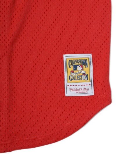 画像5: 【送料無料】MITCHELL & NESS AUTHENTIC MESH BP-DAULTON 93 #10 PHILLIE