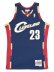 画像1: 【送料無料】MITCHELL & NESS SWINGMAN JERSEY CAVALIERS 08-09 #23 L.J (1)