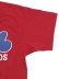 画像7: 【送料無料】MITCHELL & NESS AUTHENTIC MESH BP-T.RAINES 89 #30 EXPOS