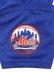 画像8: 【送料無料】MITCHELL & NESS AUTHENTIC MESH BP-M.PIAZZA 99 #31 METS