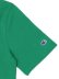 画像5: 【MEGA SALE】CHAMPION SCRIPT LOGO TEE-KELLY GREEN