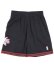 画像1: 【送料無料】MITCHELL & NESS SWINGMAN SHORTS 76ERS 2000-2001 (1)