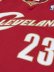 画像6: 【送料無料】MITCHELL & NESS SWINGMAN JERSEY CAVALIERS 03-04 #23 LJ