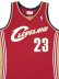 画像3: 【送料無料】MITCHELL & NESS SWINGMAN JERSEY CAVALIERS 03-04 #23 LJ