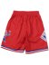 画像2: 【送料無料】MITCHELL & NESS SWINGMAN SHORTS ALL-STAR WEST 1991 (2)