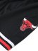 画像10: 【送料無料】MITCHELL & NESS SWINGMAN SHORTS BULLS 1997-1998