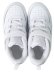 画像5: 【KIDS】NIKE COURT BOROUGH LOW 2 TDV WHITE/WHITE