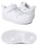 画像2: 【KIDS】NIKE COURT BOROUGH LOW 2 TDV WHITE/WHITE (2)