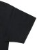 画像5: 【送料無料】REIGNING CHAMP MIDWEIGHT JERSEY TEE