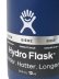 画像6: Hydro Flask BEER & SPIRITS 12 OZ COOLER CUP-COBALT