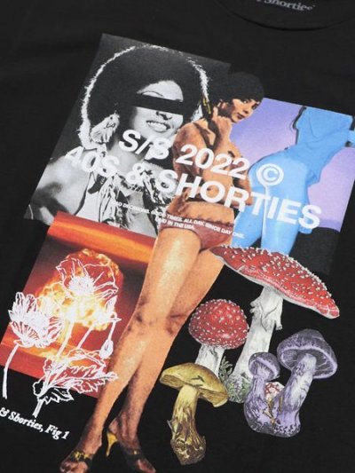 画像3: 【MEGA SALE】40s & Shorties COLLAGE TEE