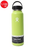 Hydro Flask HYDRATION 40 OZ WIDE MOUTH-SEAGRASS