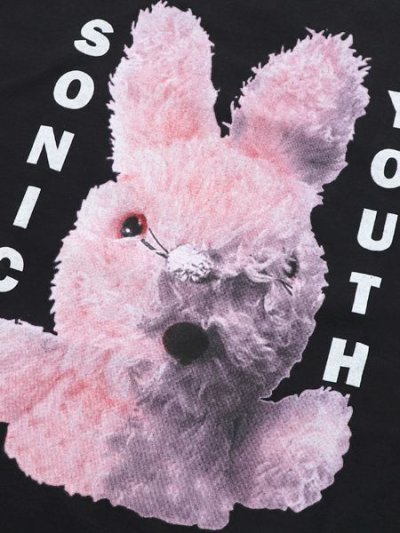 画像3: 【SALE】KUNG FU NATION SONIC YOUTH DIRTY BUNNY TEE