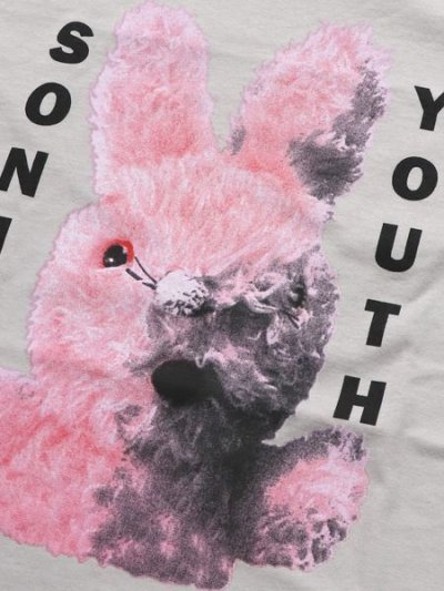 画像3: KUNG FU NATION SONIC YOUTH DIRTY BUNNY TEE SILVER GREY