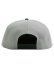 画像4: NEW ERA 9FIFTY NPB HANSHIN TIGERS GREY/BLK VISOR