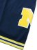 画像5: 【送料無料】MITCHELL & NESS SWINGMAN SHORTS MICHIGAN 1991