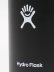 画像7: Hydro Flask BEER FIVE STAR 12 OZ COOLER CUP-BLACK