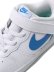 画像6: 【KIDS】NIKE COURT BOROUGH LOW 2 TDV WHITE/PHOTO BLUE