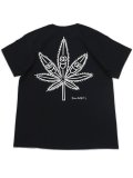 【SALE】MANASTASH KEN KAGAMI KEN'S TEE HEMP KUN