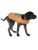 画像7: 【送料無料】CARHARTT DOG CHORE COAT BLACK
