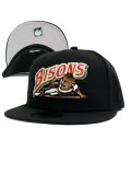 NEW ERA 59FIFTY CS MiLB BUFFALO BISONS UV/GY FBM