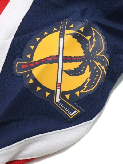 画像5: 【送料無料】MITCHELL & NESS NHL DK JERSEY PANTHERS 95 #27 S.MELLANBY