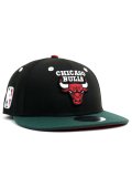 NEW ERA LP 9FIFTY NBA BULLS BLK/DK GRN VISOR