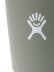 画像4: Hydro Flask DRINKWARE 28 OZ ALL AROUND TUMBLER-AGAVE (4)