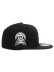 画像4: NEW ERA 59FIFTY CS TIGERS CTN UV/GY FB WS68 50TH (4)