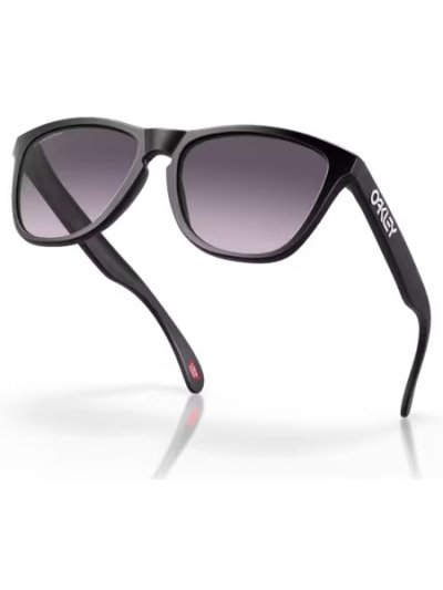 画像4: 【送料無料】OAKLEY FROGSKINS MATTE BLACK/PRIZM SLATE