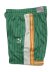 画像3: PUMA FTF T7 MESH SHORT-ARCHIVE GREEN (3)