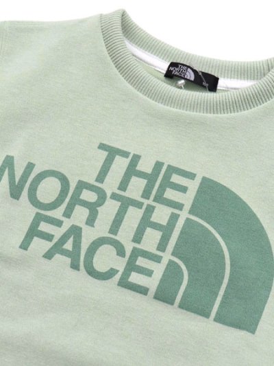 画像3: 【KIDS】THE NORTH FACE KIDS COLORISE SWEAT CREW