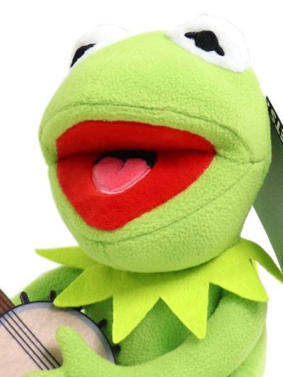 画像5: Kidrobot KERMIT THE FROG BANJO 8" PHUNNY PLUSH