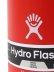 画像6: Hydro Flask COFFEE 12 OZ CLOSEABLE COFFEE MUG-GOJI