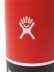 画像4: Hydro Flask HYDRATION 16 OZ WIDE MOUTH-GOJI (4)