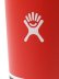 画像4: Hydro Flask DRINKWARE 20 OZ ALL AROUND TUMBLER-GOJI (4)