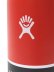 画像4: Hydro Flask COFFEE 16 OZ FLEX SIP-GOJI (4)