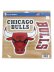 画像1: WINCRAFT 11inch DIE CUT MAGNETS CHICAGO BULLS (1)