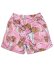 画像2: 【SALE】REASON DIPSET KILLA CAM MESH SHORT MULTI (2)