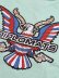 画像4: 【SALE】REASON DIPSET PORTAIT TEE TEAL (4)