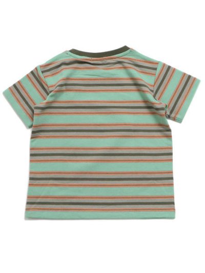 画像3: 【SALE】【KIDS】THE NORTH FACE KIDS BORDER TENT TEE & SHORT