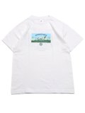 【SALE】ACAPULCO GOLD POINTER DOG TEE WHITE