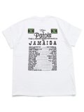 【SALE】TURTLE MAN'S CLUB PATOIS TEE