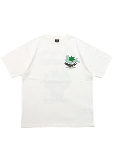 画像2: 【SALE】MANASTASH CiTee PIGION TEE WHITE